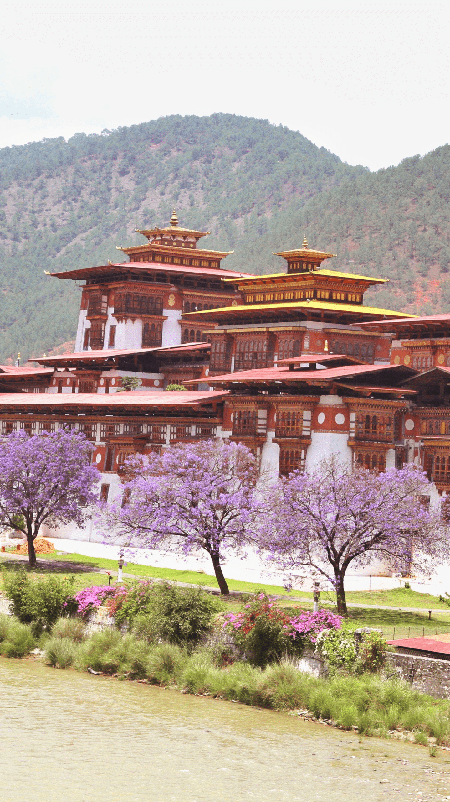 Punakha Fortress